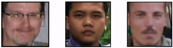 ML Reproducibility LASSI