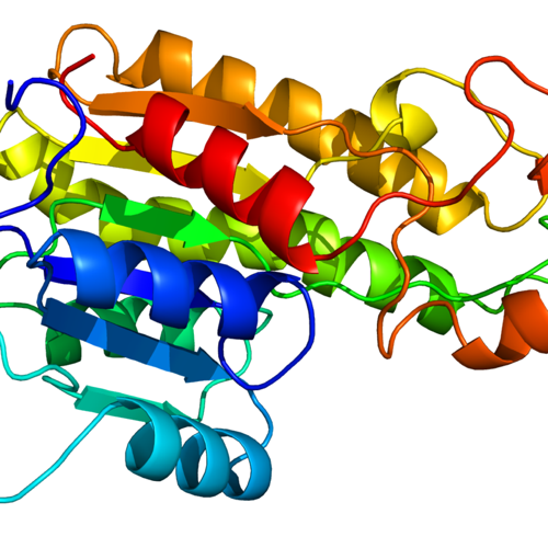 GVP protein homology model
