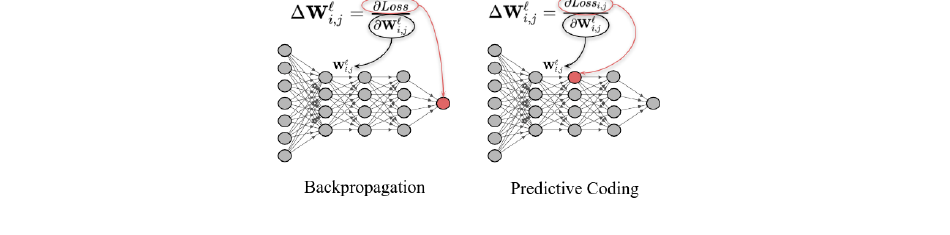 Backpropagation versus predictive coding weight updates