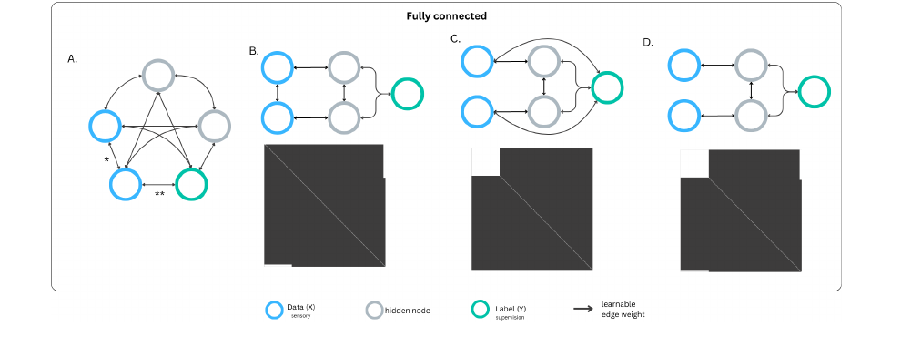 Figure 11: Fully connected Hopfield-like topologies with edges cut