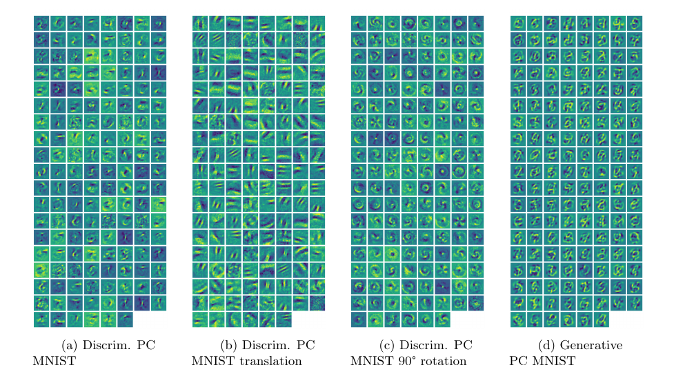 Figure 13: Learned discriminative and generative PC weights