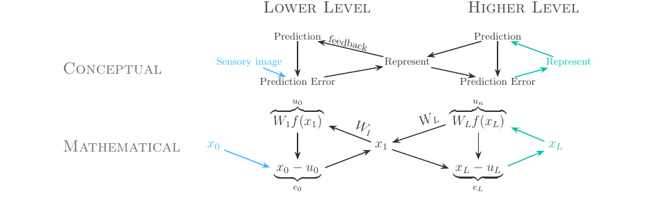 Figure 2: Hierarchical predictive coding framework